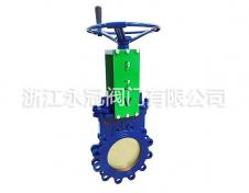手動(dong)偏心暗杆刀(dao)閘閥PZ43H