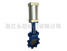 氣(qi)動刀閘閥